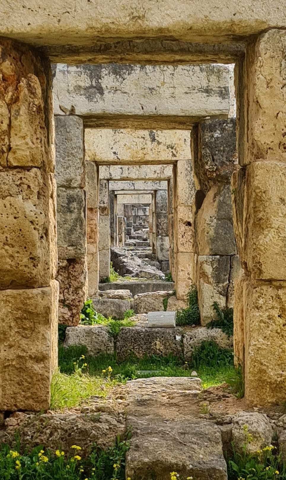 Ruins of Tyre hippodrome Lebanon