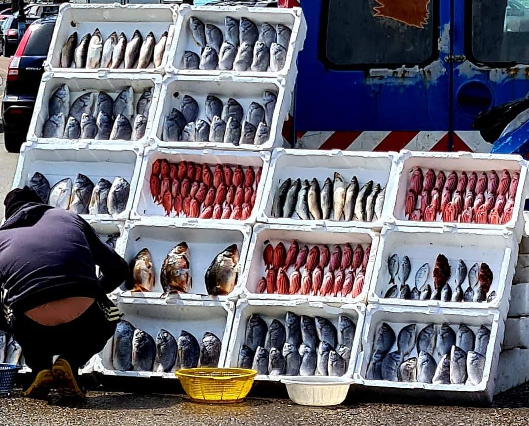 Fish for sale in Sidon, Lebanon