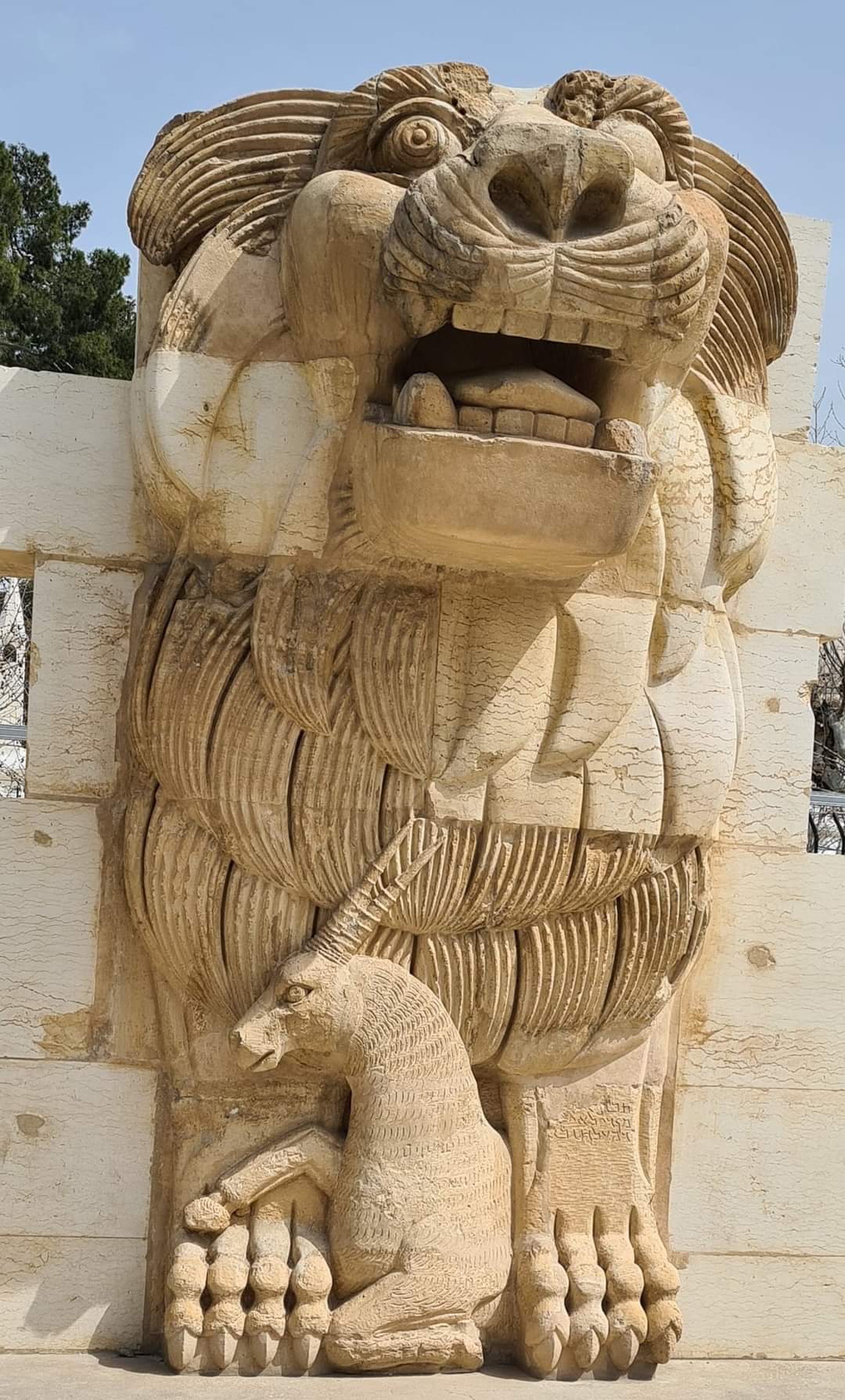 Lion at the National Museum in Damascus, Syria