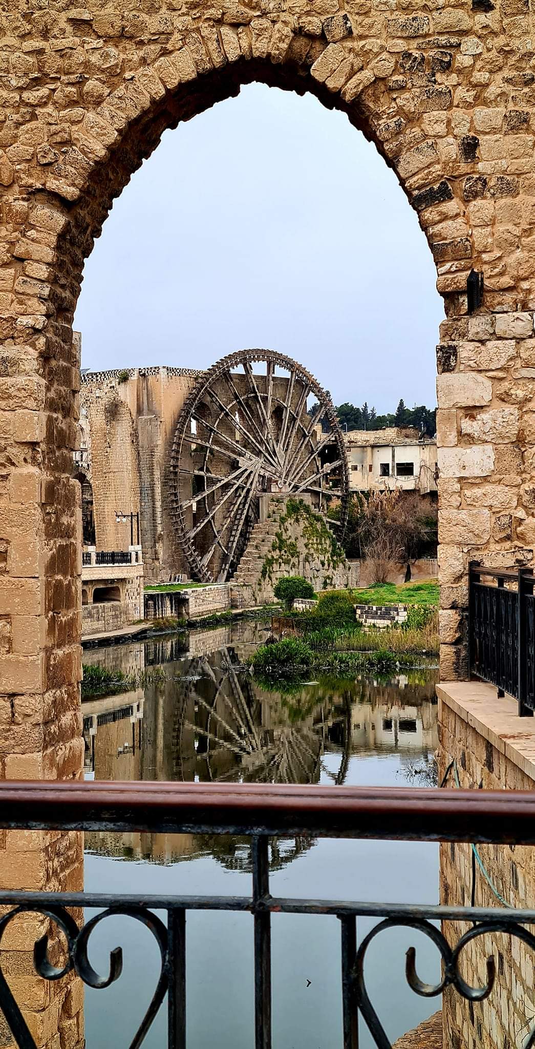 Large wooden water wheels line the rover in Hama, Syria.