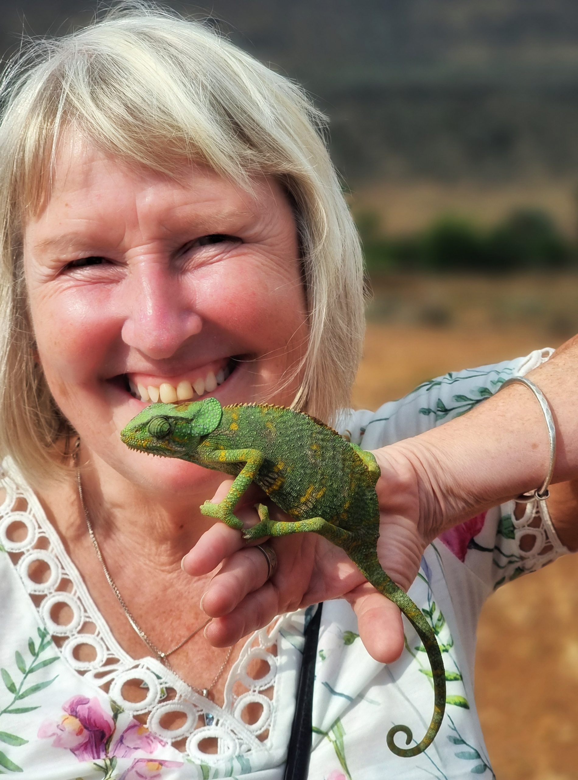 Me with a friendly chameleons in Socotra