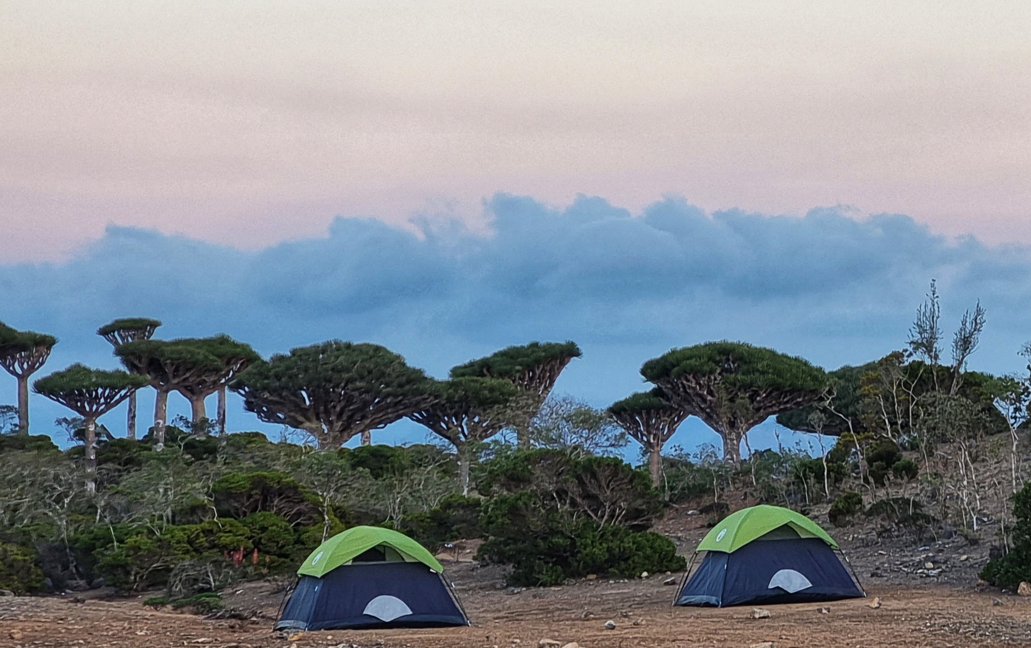 Our campsite by the Dragon Blood forest