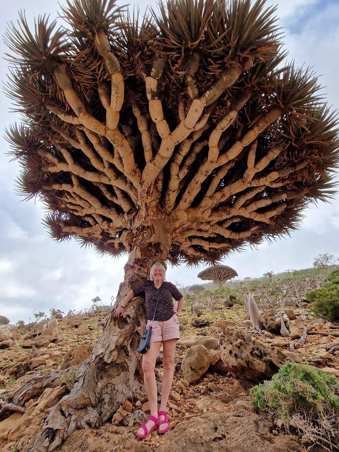 Me with a Dragon Blood tree in Socotra