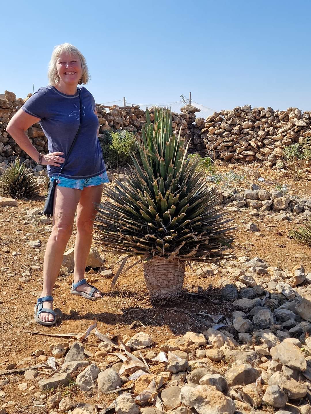 Me at the Dragon blood tree nursery in Socotra