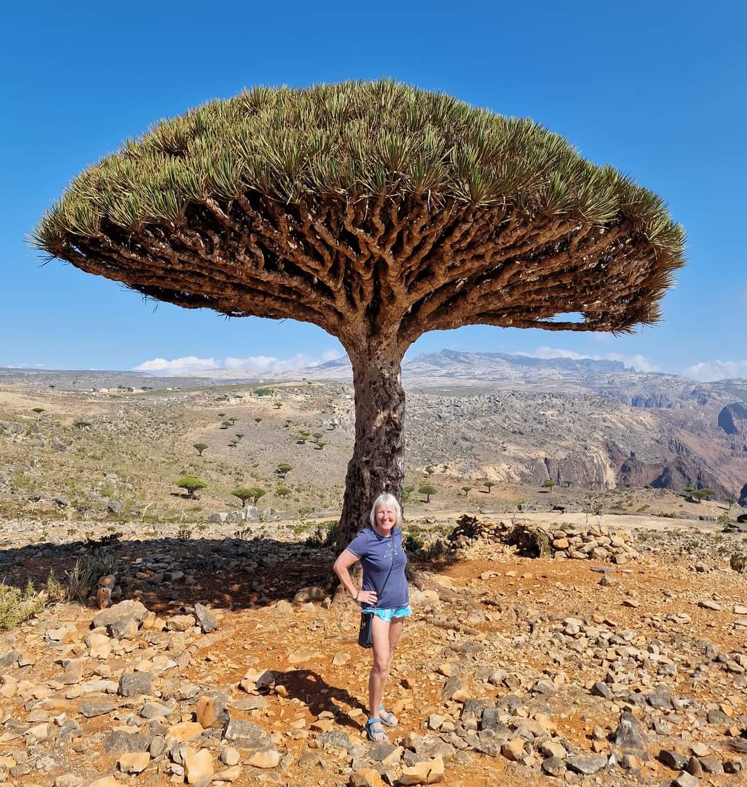 Me with a large Dragon Blood tree in Socotra