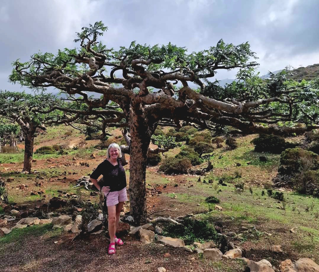 Me with a frankinsense tree in Socotra