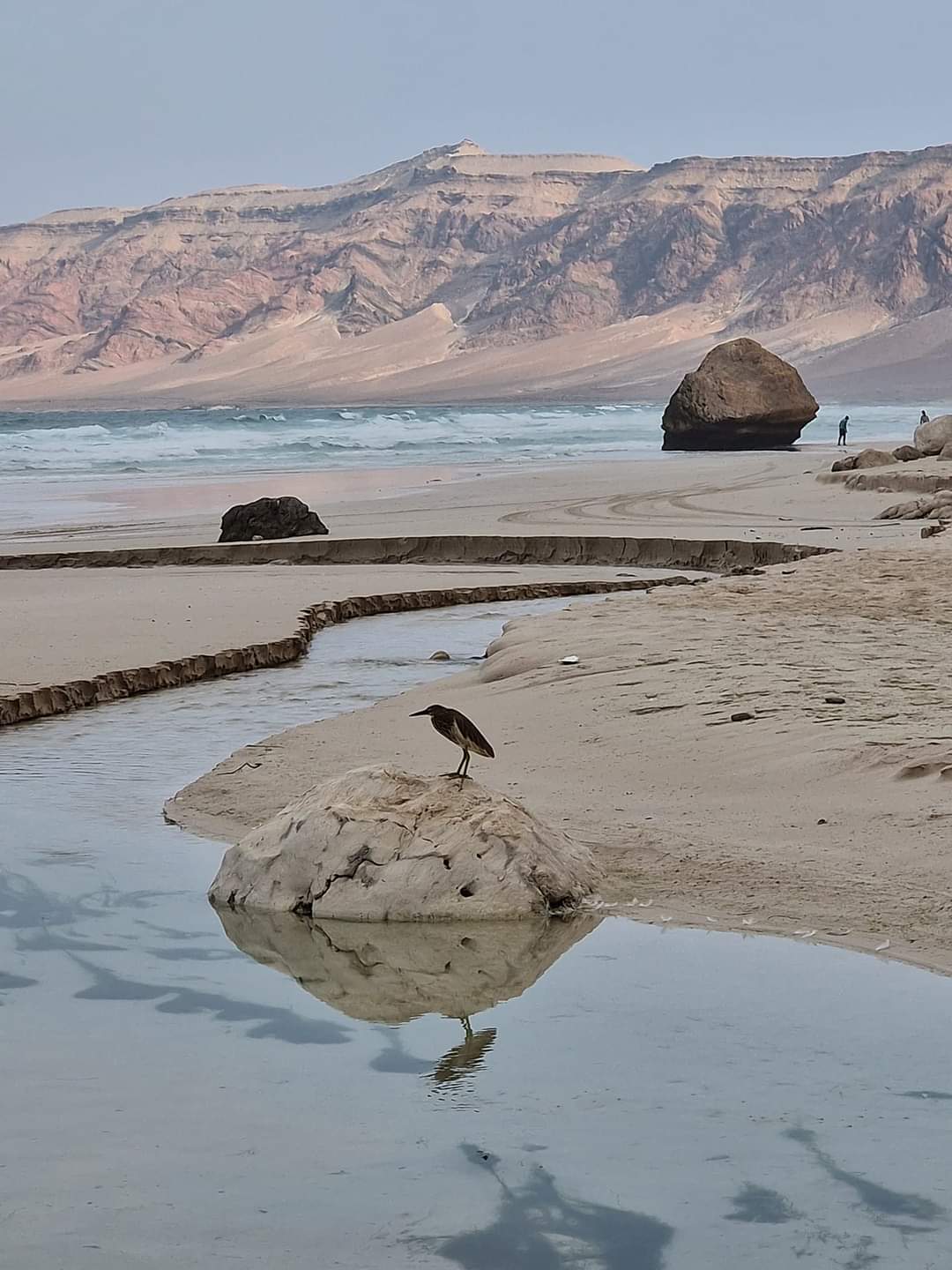 A beach in Socotra