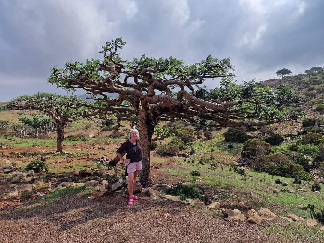 Me next to a Frankincense tree