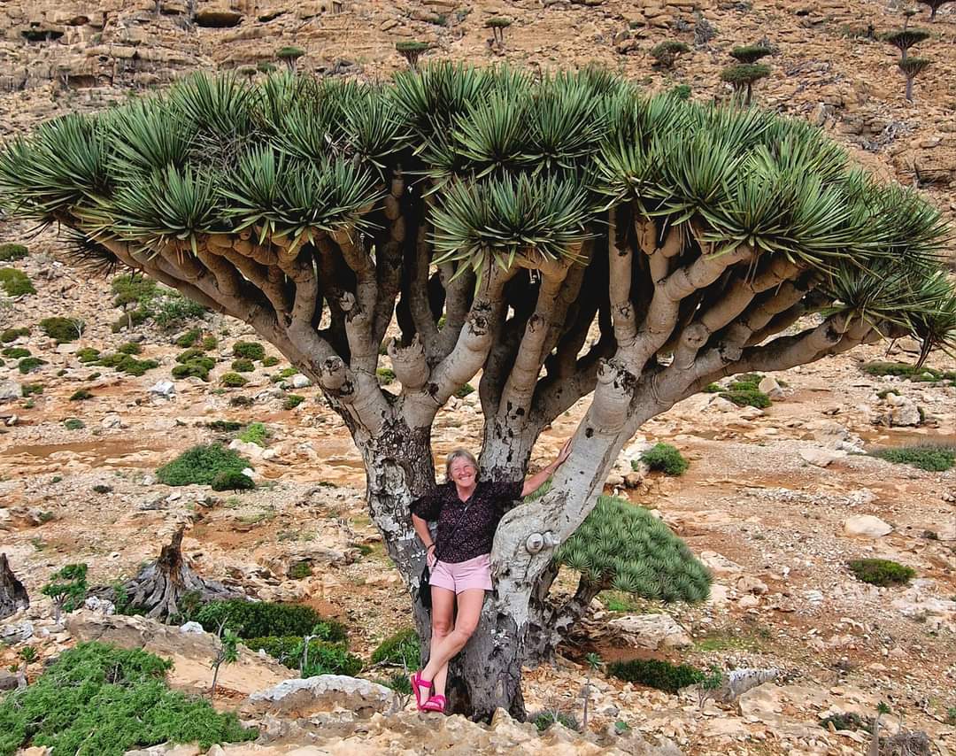Me dwarfed by a dragon blood tree in Socotra