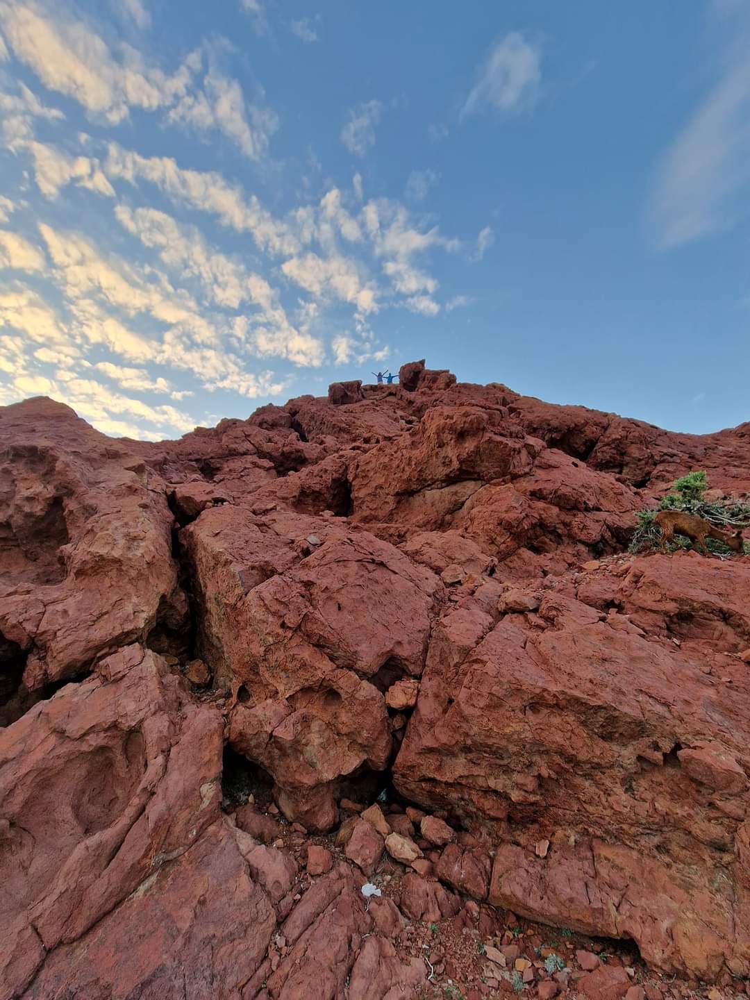 Atop a huge rock in Socotra