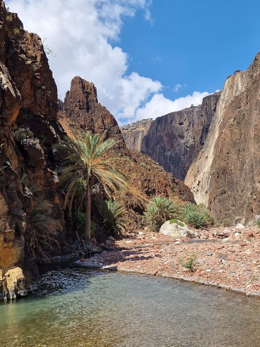 A lovely lunch stop in Socotra.