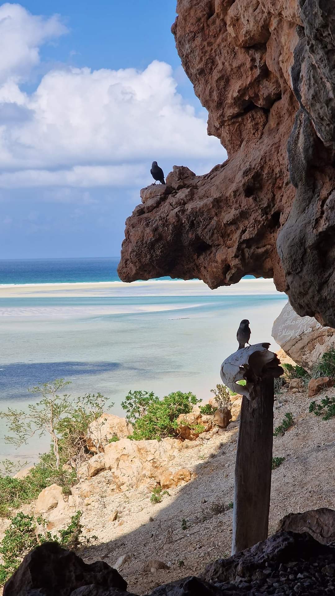 Me at Dethwh lagoon, Socotra