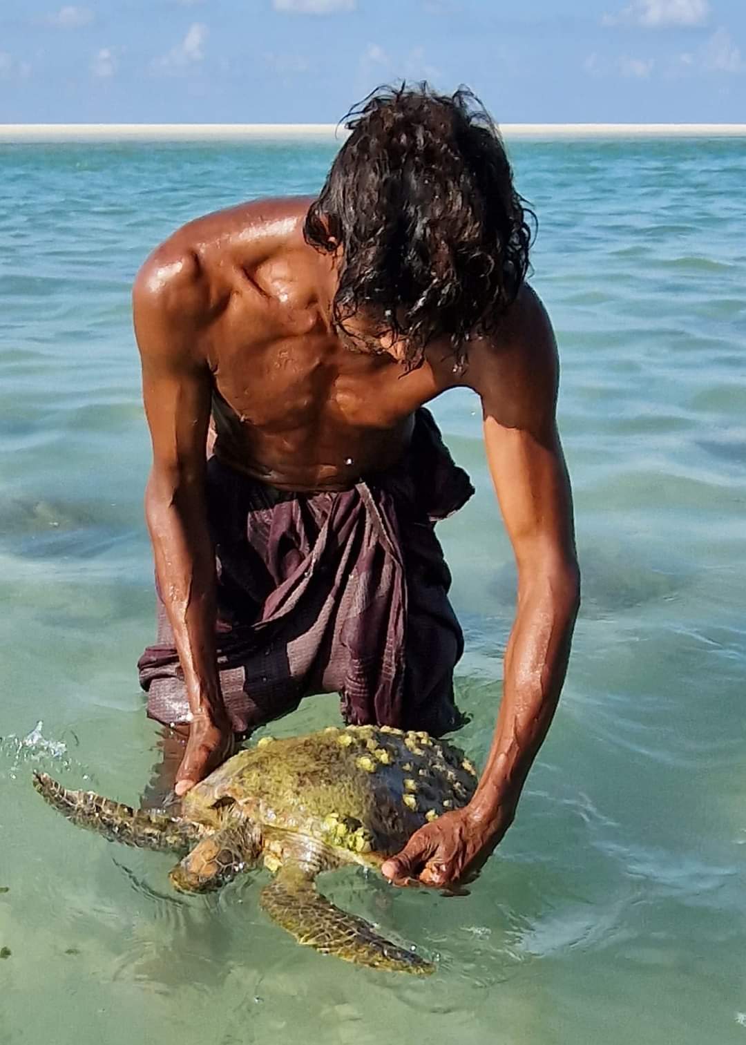 The caveman removing barnacles from a turtle in Socotra