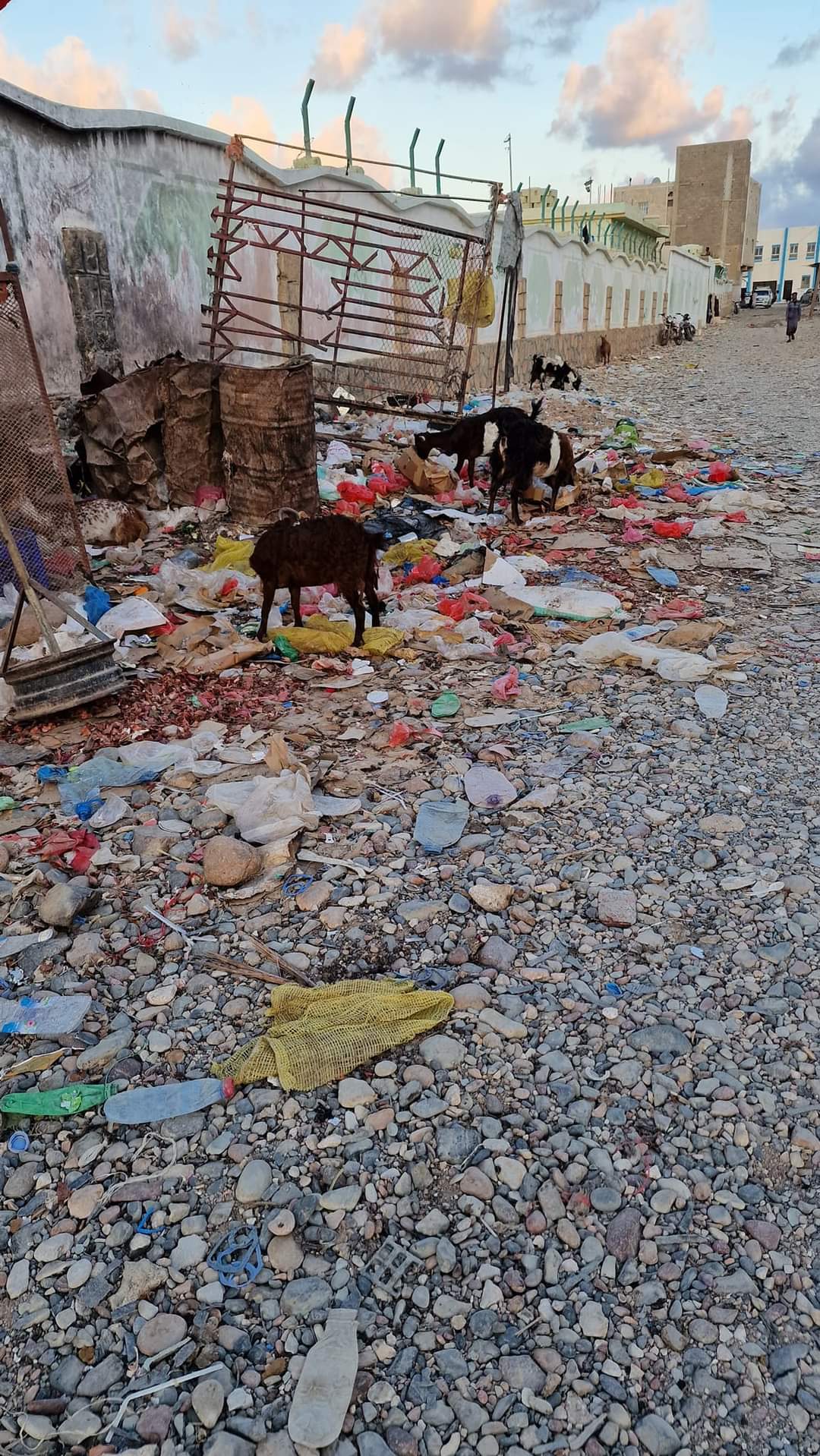 Rubbish in Socotra