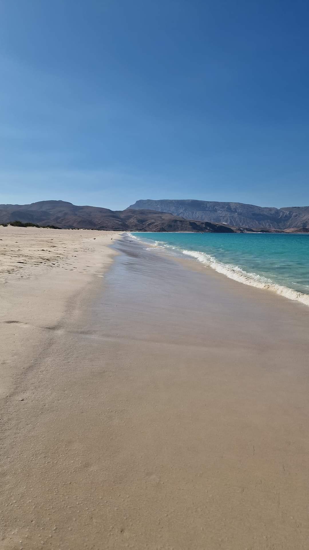 An unspoilt beach in Socotra
