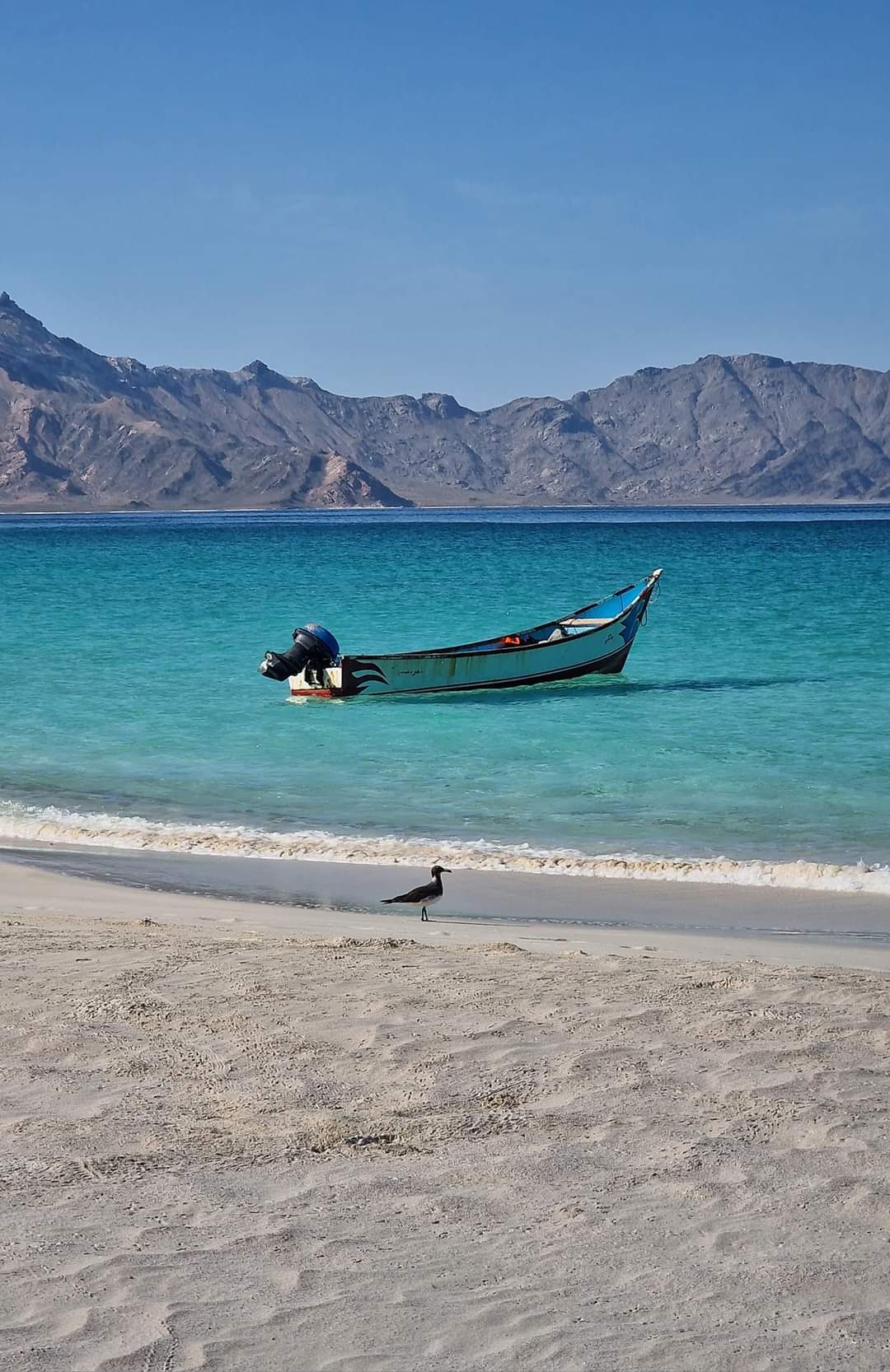 Shaob beach in Socotra