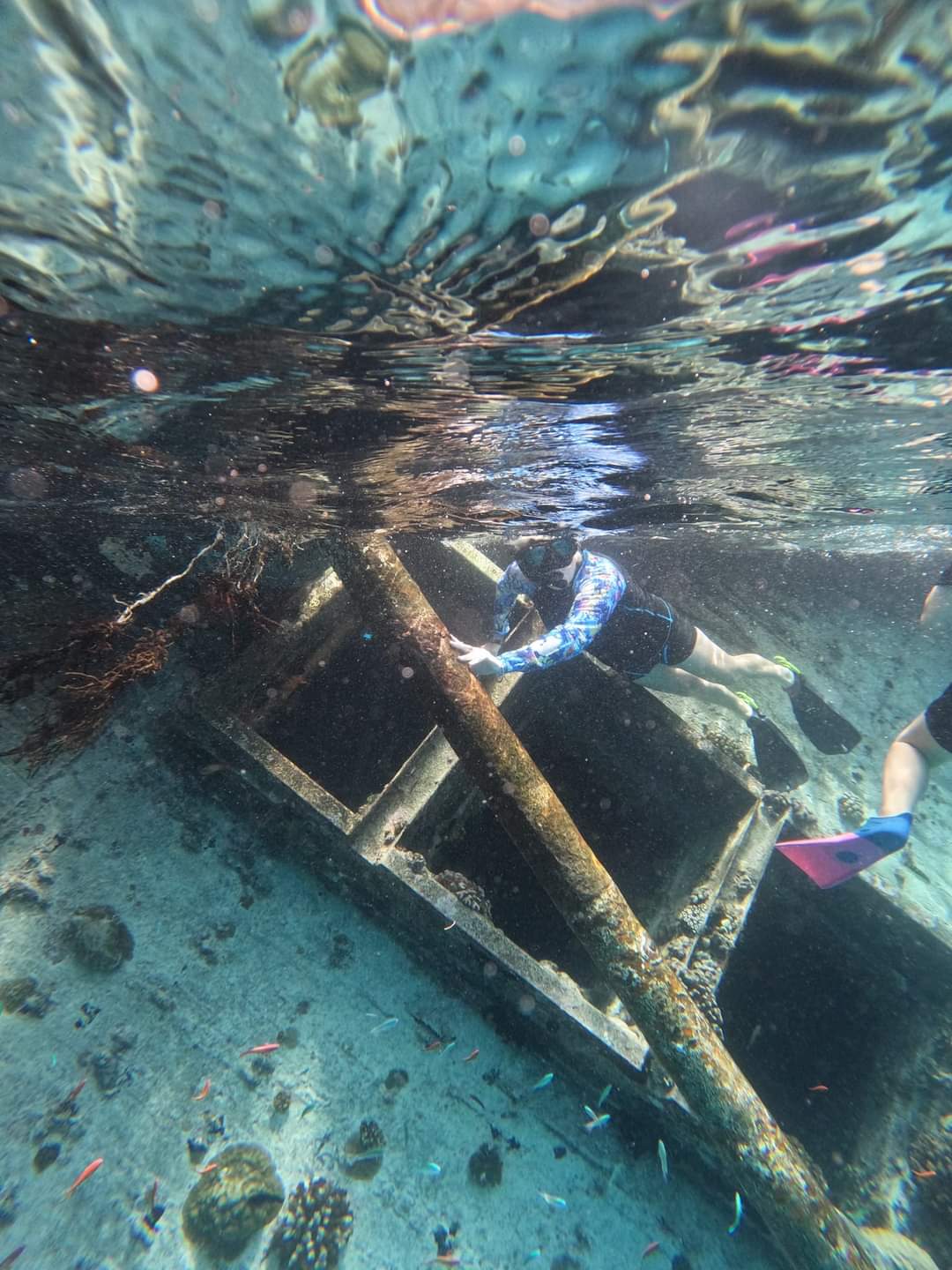 Me snorkelling at a shipwreck in the Maldives