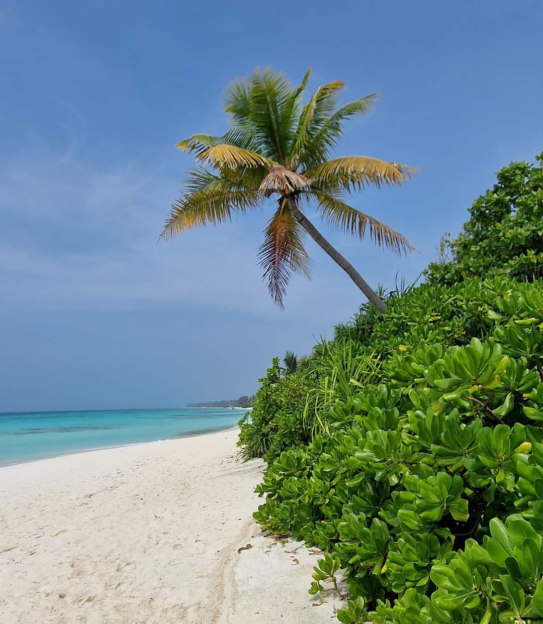 A beach in the Maldives